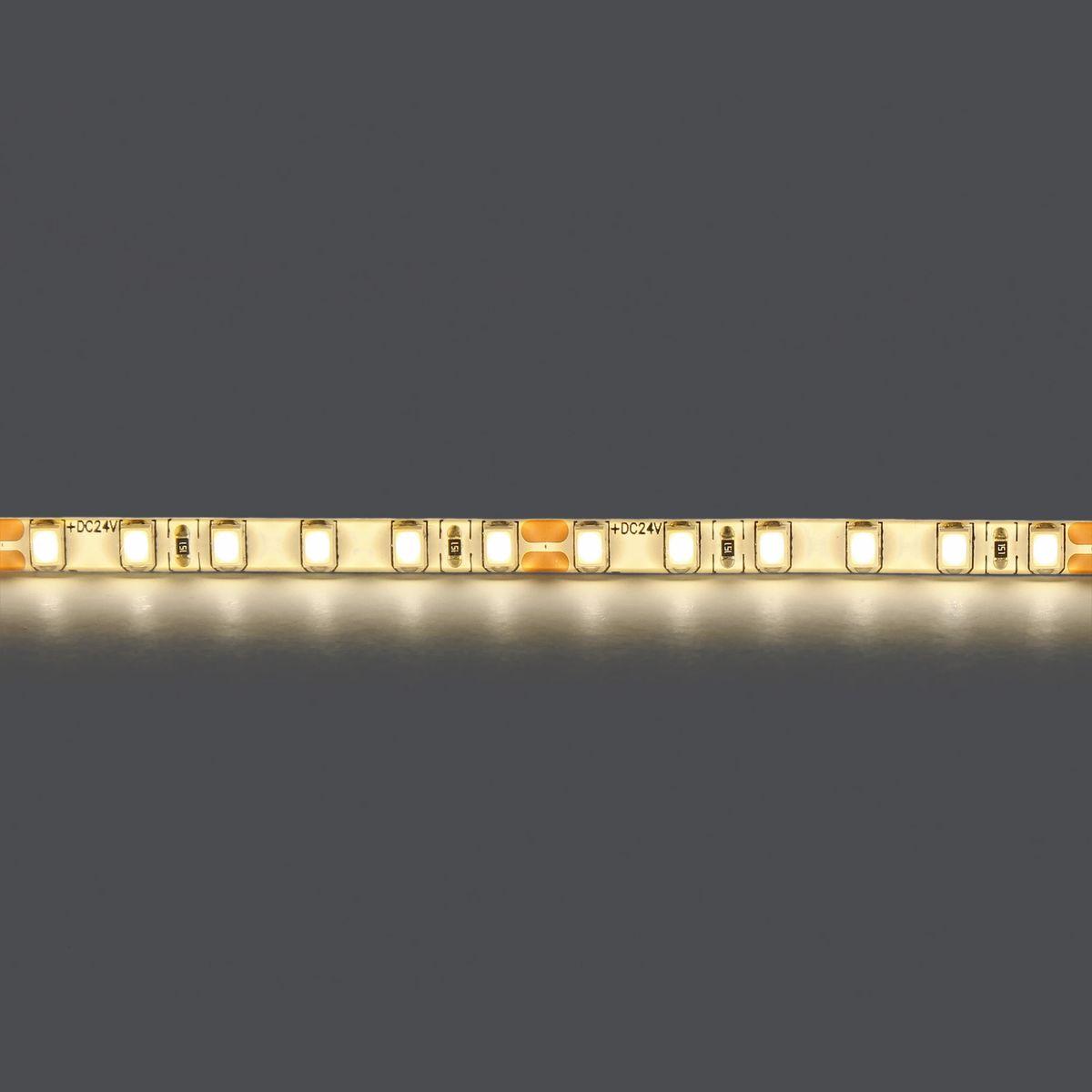 фото светодиодная влагозащищенная лента дневной белый lightstar 12w/m 120led/m 5m 420554 | 220svet.ru