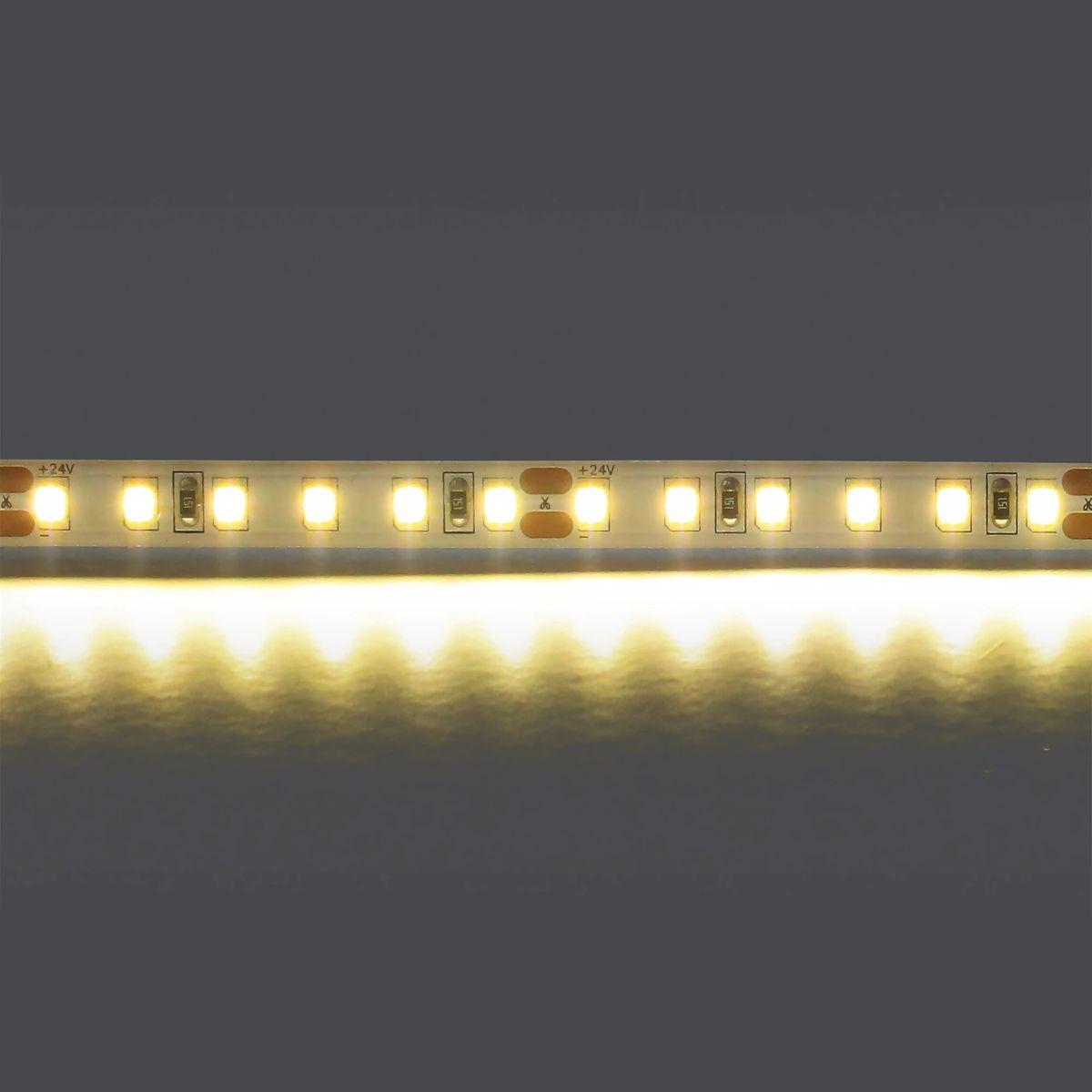 фото светодиодная лента теплый белый lightstar 12w/m 120led/m 5m 420803 | 220svet.ru