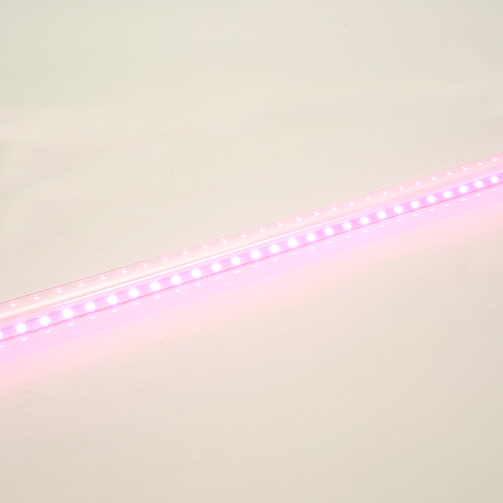 фото лампа светодиодная для растений t8 feron lb-7063 g13 стекло 0,6м 11w 175-265v красно-синий спектр 51662 | 220svet.ru