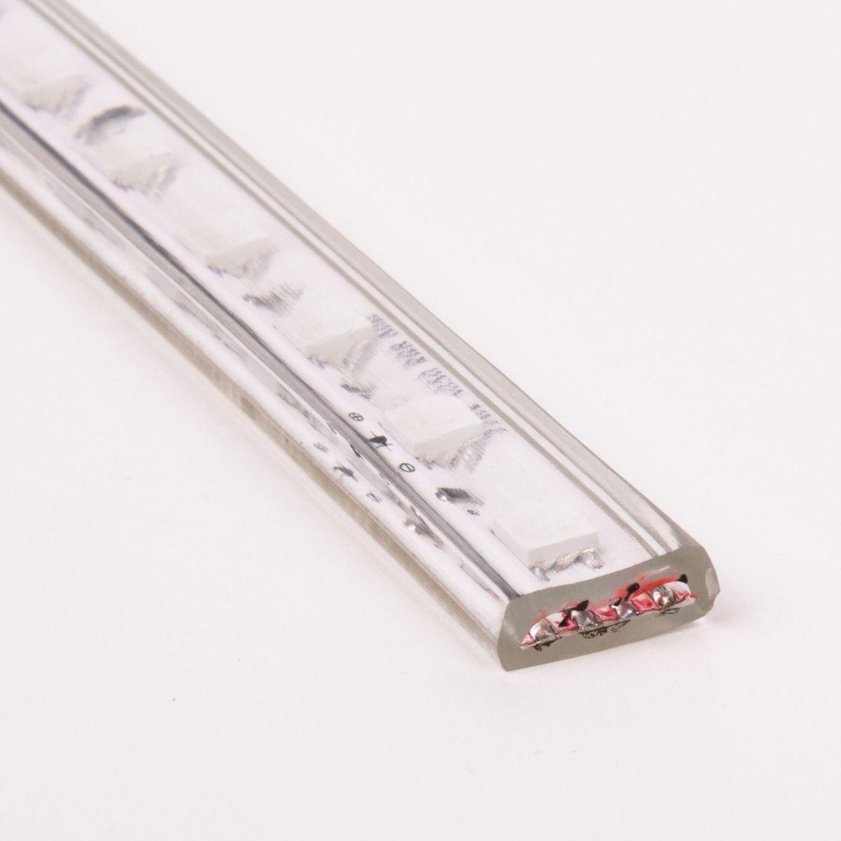 фото светодиодная влагозащищенная лента elektrostandard 11w/m 60led/m 5050smd rgb 50m a053641 | 220svet.ru