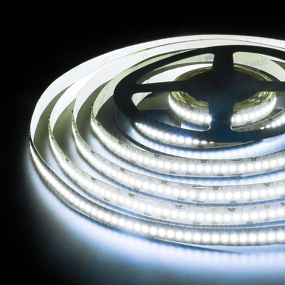 фото светодиодная лента elektrostandard 24w/m 240led/m 2835smd холодный белый 5m a052981 | 220svet.ru