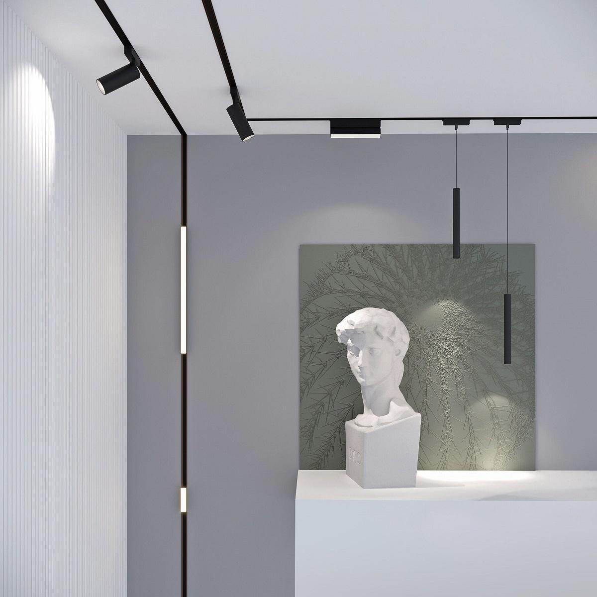 фото трековый магнитный светодиодный светильник elektrostandard vision 85087/01 черный a063691 | 220svet.ru