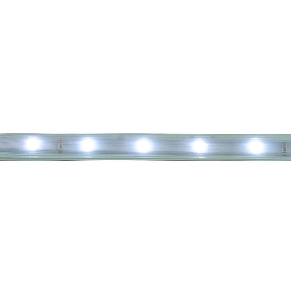 фото светодиодная влагозащищенная лента saffit 6w/m 60led/m 2835smd холодный белый 50м sst20 55245 | 220svet.ru