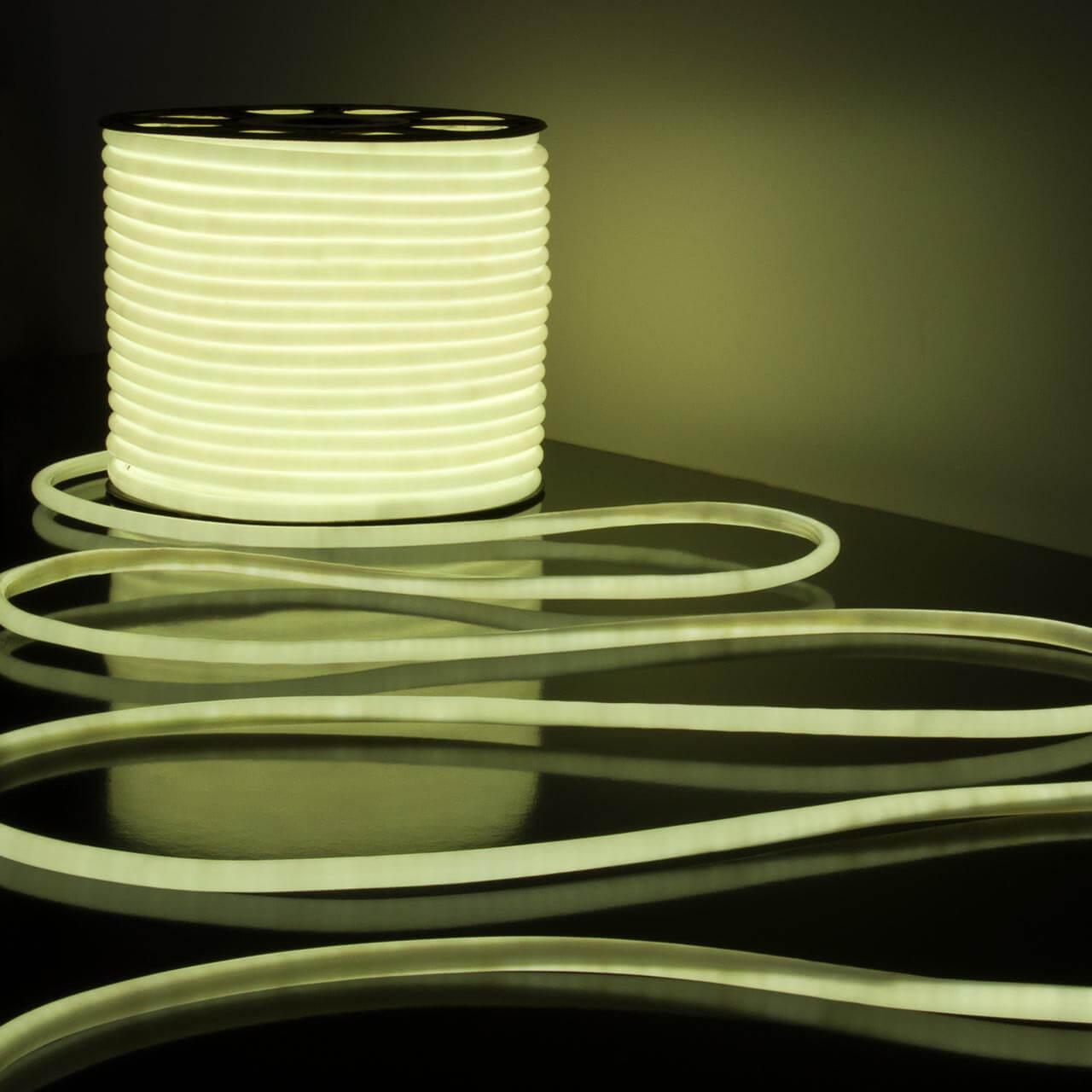 фото гибкий неон elektrostandard 9,6w/m 144led/m 2835smd холодный белый 50m a043547 | 220svet.ru