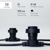Миниатюра фото белт-лайт 10м, провод черный каучук, шаг 100 см, 10 прозрачных патронов, ip65 ltc bl10m/10l-1-p | 220svet.ru