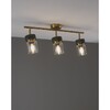 Миниатюра фото спот moderli almero v11823-3c | 220svet.ru