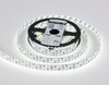 Миниатюра фото светодиодная лента дневной белый ambrella light 19,2w/m 240led/m 2835smd 6500к 5m gs1603 | 220svet.ru