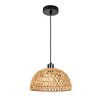 Миниатюра фото подвесной светильник arte lamp brushwood a7086sp-1bk | 220svet.ru