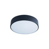 Миниатюра фото потолочный светильник loft it axel 10002/12 black | 220svet.ru