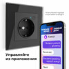 Миниатюра фото умная розетка с заземлением с защитными шторками werkel w1171608 | 220svet.ru