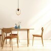 Миниатюра фото подвесной светильник escada rustic 10196/1s | 220svet.ru