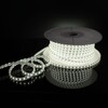 Миниатюра фото светодиодная влагозащищенная лента elektrostandard 8w/m 60led/m 2835smd холодный белый 50m a053638 | 220svet.ru