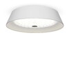 Миниатюра фото потолочный светильник freya cells fr10013cl-l24w | 220svet.ru
