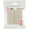 Миниатюра фото выключатель эра arktik 16-1104-04 двойной 10ах-250в шампань б0070347 | 220svet.ru