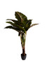 Миниатюра фото колоказия искусственная в горшке h155см garda decor 29bj-820-155 | 220svet.ru