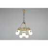 Миниатюра фото подвесная люстра aployt eloiz apl.839.03.09 | 220svet.ru