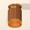 Миниатюра фото комплект накладного светильника ambrella light techno spot xs7404122 scf/pyg/cf кофе песок/золото желтое полированное/кофе (n7929, c7404, n7195) | 220svet.ru