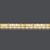 Миниатюра фото светодиодная влагозащищенная лента дневной белый lightstar 12w/m 120led/m 5m 420554 | 220svet.ru