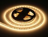 Миниатюра фото светодиодная лента ambrella light 9,6w/m 120led/m 2835smd теплый белый 5m gs1101 | 220svet.ru