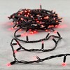 Миниатюра фото гирлянда нить 10м красная 220в, 100 led, провод черный каучук, ip65 ltc ll100-1-2r | 220svet.ru