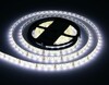 Миниатюра фото светодиодная влагозащищенная лента дневной белый ambrella light 14,4w/m 60led/m 5050smd 4500к 5m gs2102 | 220svet.ru