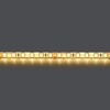 Миниатюра фото светодиодная влагозащищенная лента теплый белый lightstar 12w/m 120led/m 5m 420553 | 220svet.ru