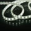Миниатюра фото светодиодная влагозащищенная лента elektrostandard 8w/m 60led/m 2835smd холодный белый 50m a053638 | 220svet.ru
