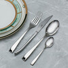 Миниатюра фото набор столовых приборов 24 шт dublin face | 220svet.ru