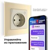 Миниатюра фото умная розетка с заземлением с защитными шторками werkel w1171603 | 220svet.ru