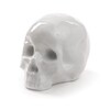 Миниатюра фото статуэтка my skull seletti 10449 | 220svet.ru