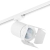 Миниатюра фото трековый светодиодный светильник lightstar canno led (303262+202996) c326296 | 220svet.ru