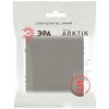 Миниатюра фото кнопка эра arktik 16-1109-07 10ах-250в титан б0070400 | 220svet.ru