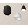 Миниатюра фото комплект накладного светильника ambrella light techno spot xs1142042 sbk/fr черный песок/белый матовый (c1142, n7175) | 220svet.ru