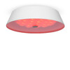 Миниатюра фото потолочный светильник freya cells fr10013cl-l24w | 220svet.ru
