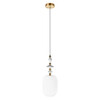 Миниатюра фото подвесной светильник loft it family 10365/g | 220svet.ru