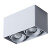 Миниатюра фото потолочный светильник arte lamp pictor a5654pl-2gy | 220svet.ru