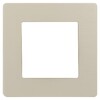 Миниатюра фото рамка 1-постовая эра кость 12-5101-02 б0052500 | 220svet.ru