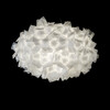 Миниатюра фото потолочный светильник loft it clizia 10595/780c white | 220svet.ru