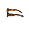 Миниатюра фото солнцезащитные очки kansas - green gradient seletti oks01-chg | 220svet.ru