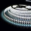 Миниатюра фото светодиодная влагозащищенная лента elektrostandard 9,6w/m 120led/m 2835smd холодный белый 5m a052851 | 220svet.ru