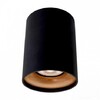 Миниатюра фото потолочный светильник arte lamp torre a1532pl-1bk | 220svet.ru