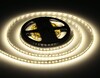 Миниатюра фото светодиодная лента дневной белый ambrella light 10w/m 120led/m 2835smd 4500к 5m gs3102 | 220svet.ru