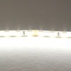 Миниатюра фото светодиодная лента холодный lightstar 12w/m 120led/m 5m 420505 | 220svet.ru