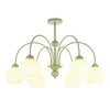 Миниатюра фото подвесная люстра myfar flora mr2271-6c | 220svet.ru