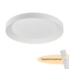 Миниатюра фото потолочный светодиодный светильник myfar ceiling mr9080-cl | 220svet.ru