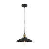 Миниатюра фото подвесной светильник loft it factory filament loft1101 | 220svet.ru