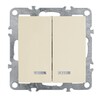 Миниатюра фото выключатель двухклавишный feron stekker эрна с подсветкой слоновая кость psw10-9102-02 39321 | 220svet.ru