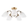 Миниатюра фото потолочная люстра myfar biene mr1521-5c | 220svet.ru