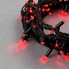 Миниатюра фото гирлянда нить 10м красная 220в, 100 led, провод черный каучук, ip65 ltc ll100-1-2r | 220svet.ru