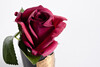 Миниатюра фото диффузор rose bud red garda decor 96cn-rb44 | 220svet.ru
